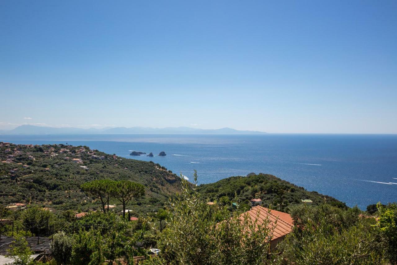 Geca'S House - Panoramic Sea View Studio 马萨鲁布朗斯 外观 照片